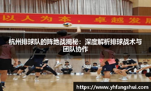 杭州排球队的阵地战揭秘：深度解析排球战术与团队协作