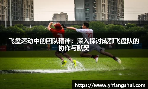 飞盘运动中的团队精神：深入探讨成都飞盘队的协作与默契